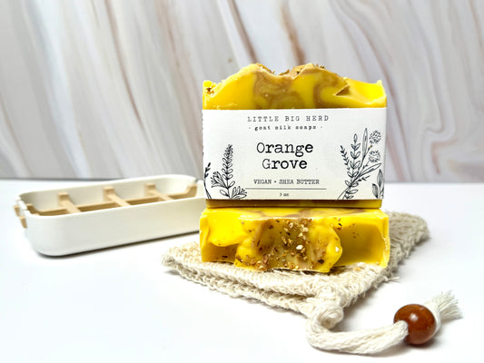 Orange Grove